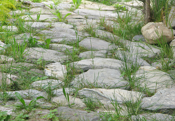 Natural stone paving